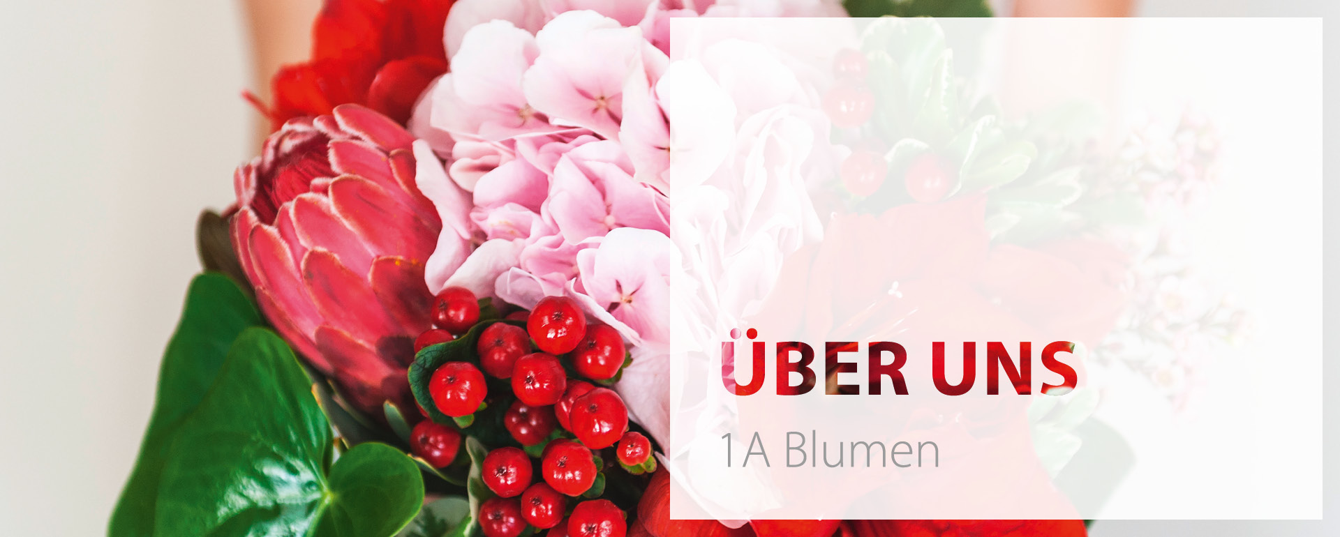1a-blumen-dachmarke-ueber-uns-header